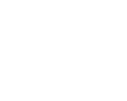 logo_footer